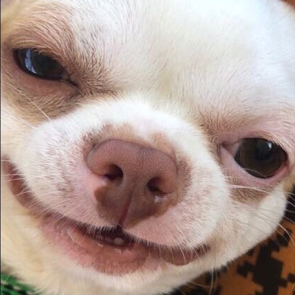 Meet your Posher, Kelsey - Picture 1 of 1